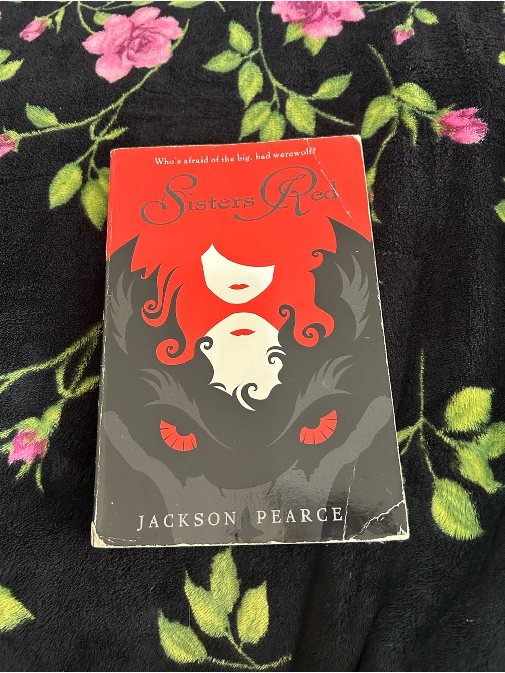 Sisters Red Paperback Novel by Jackson Pearce - Red, Black, White Cover